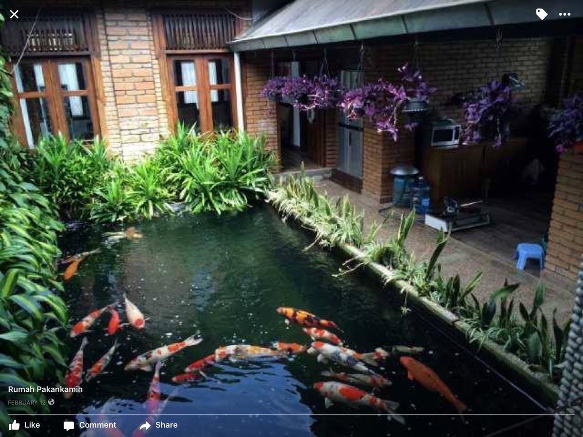 Rumah Pakankamih Bukittinggi Exterior foto